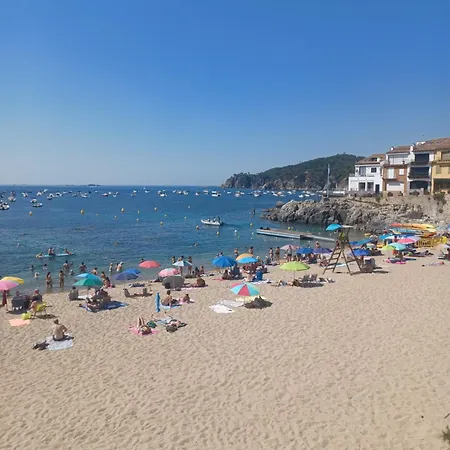 Apartment Moderno Con Terraza Cerca De Calella De Palafrugell